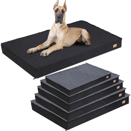 Bingo Paw - BingoPaw Jumbo Orthopedic Dog Bed Foam Pet Bed Mattress Waterproof Liner Pet Mat NonSlip, Large 92x56x8cm