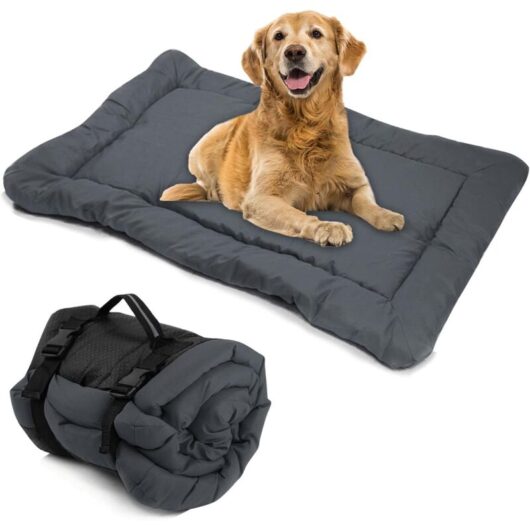Csparkv - Foldable Dog Mat Dog Bed Large Medium Portable Dog Cat Cushion Waterproof Large Outdoor Travel Blanket for Pets Multifunction Mattress,
