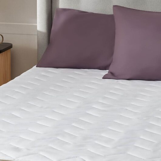 Silentnight 2 Pack Deep Sleep Mattress Protectors White