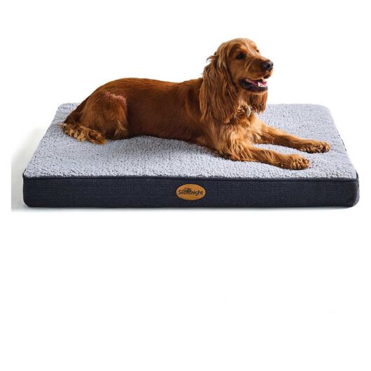 Silentnight Firm Support Crate Mattress - Grey Large